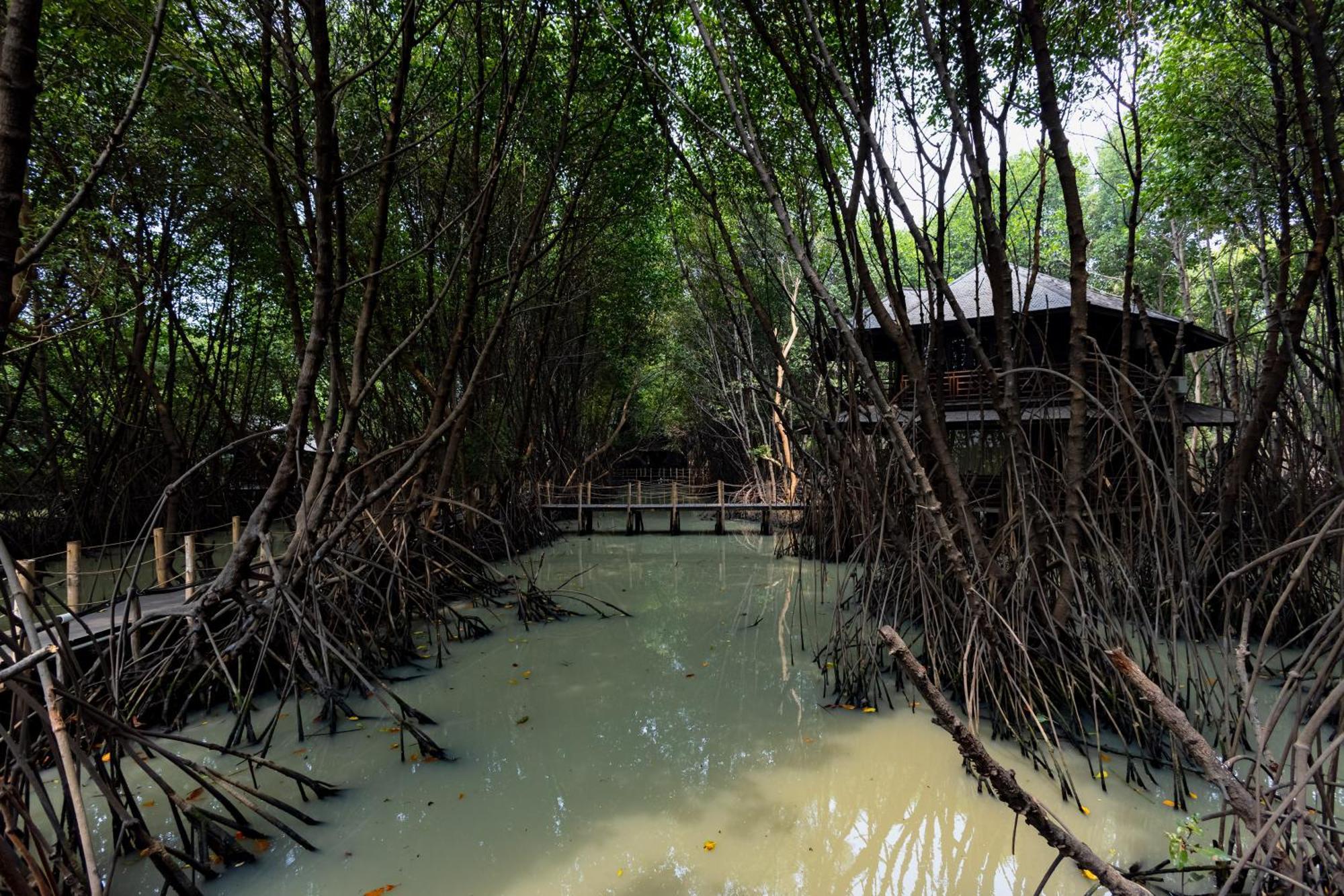 RedDoorz Resort @ Taman Wisata Mangrove Jakarta Buitenkant foto