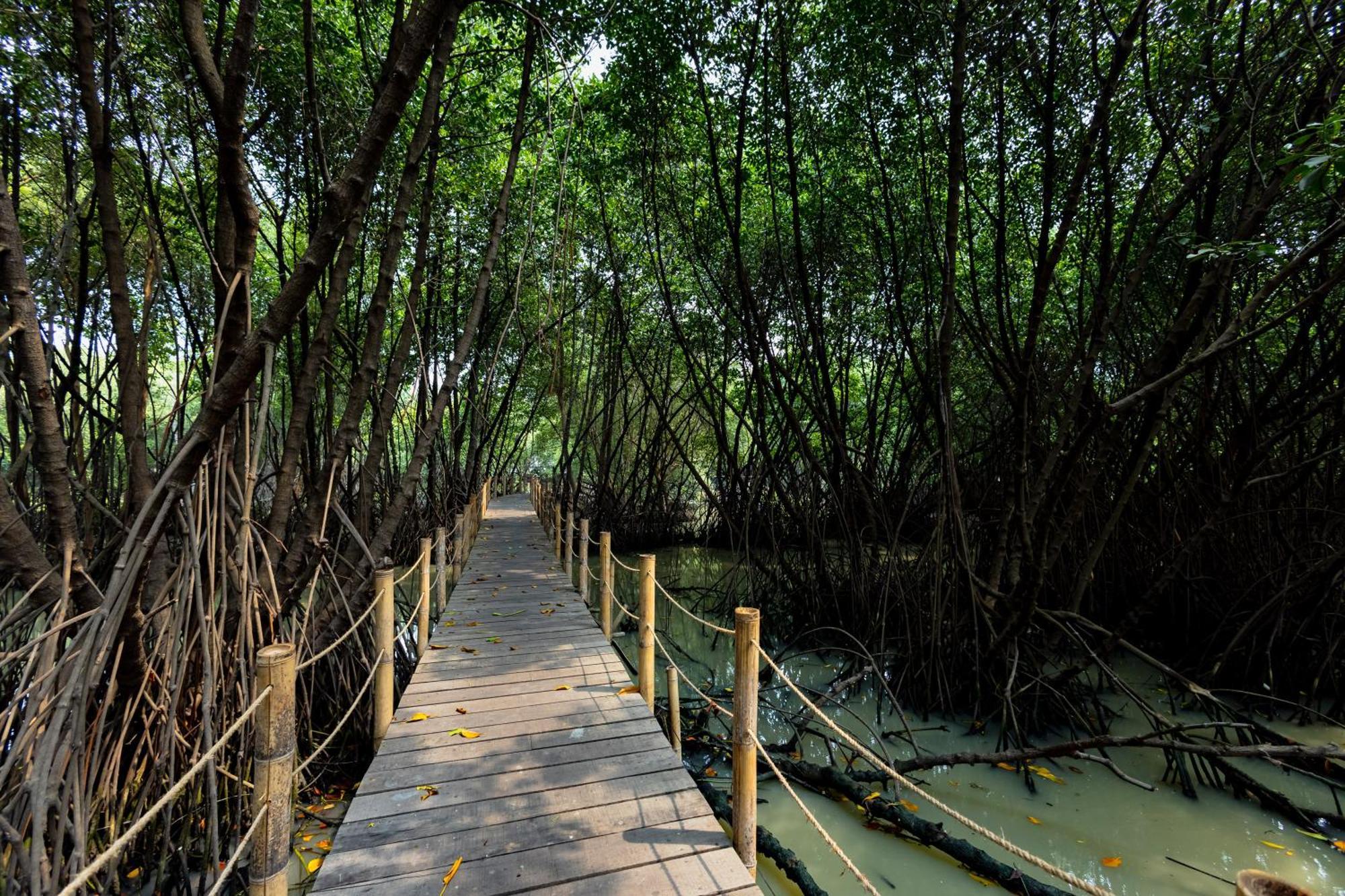 RedDoorz Resort @ Taman Wisata Mangrove Jakarta Buitenkant foto